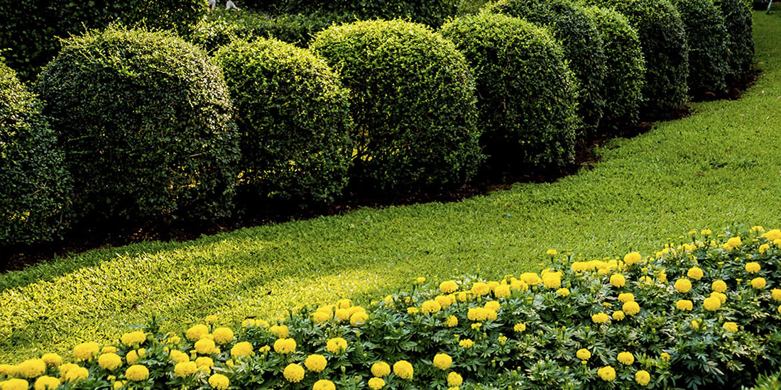 Jardinería en Madrid para comunidades