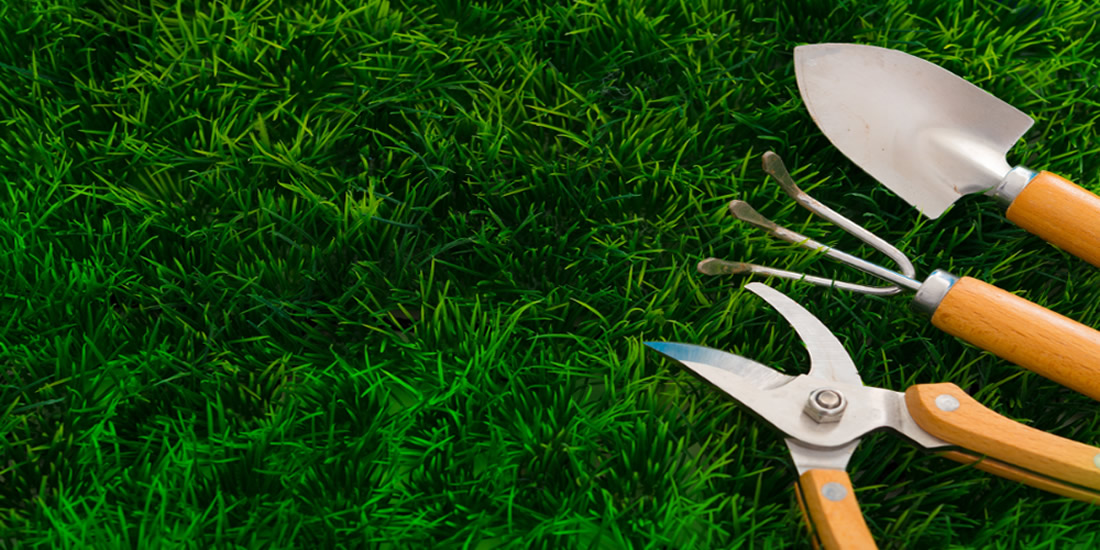 Jardineros profesionales en Madrid