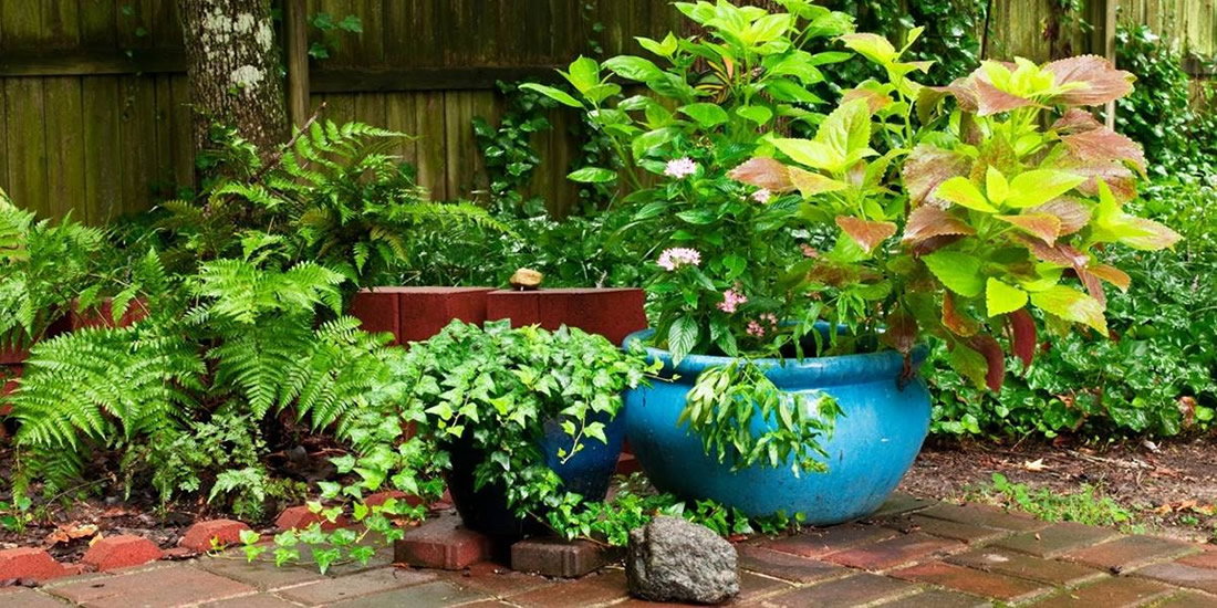 Claves del paisajismo para tu jardin